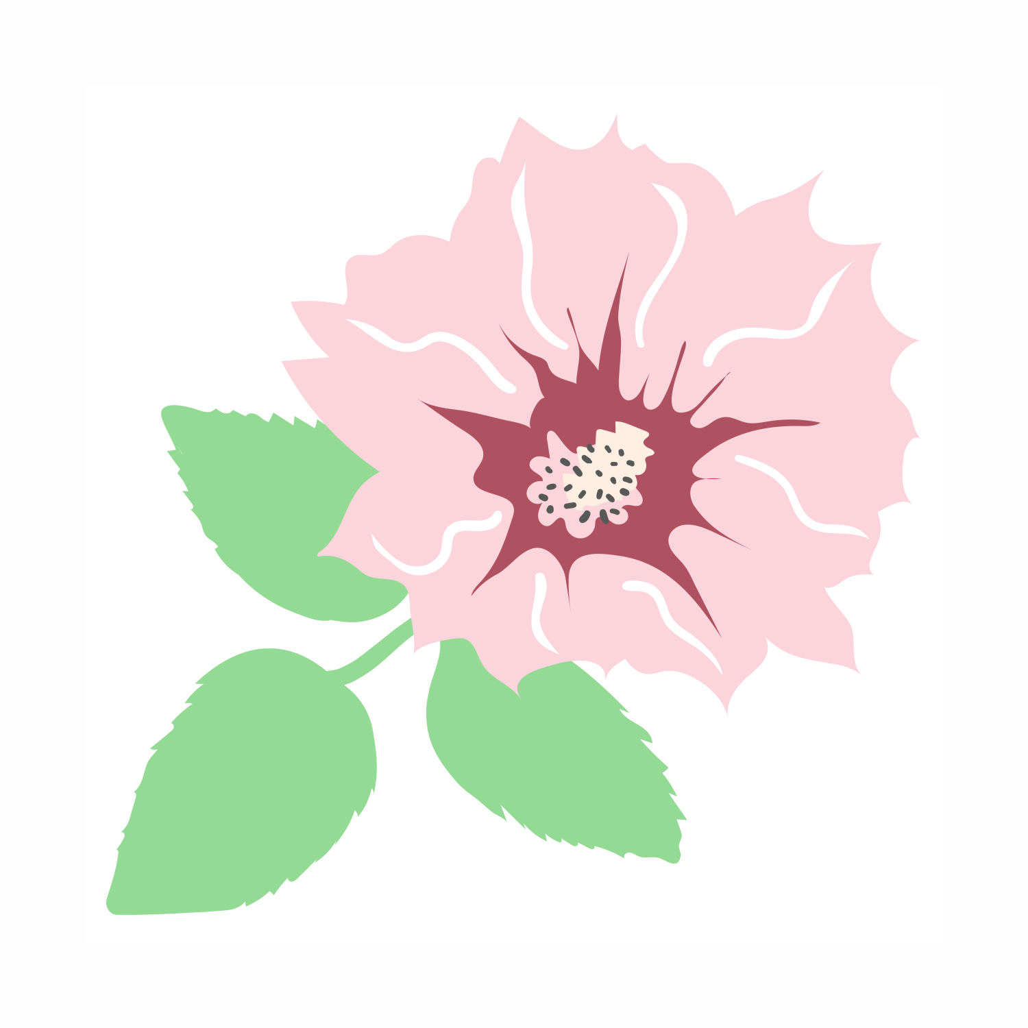 Cistus Incanus (Rockrose) Flower/Leaf/Stem Extract: A Natural Ally for Radiant Skin