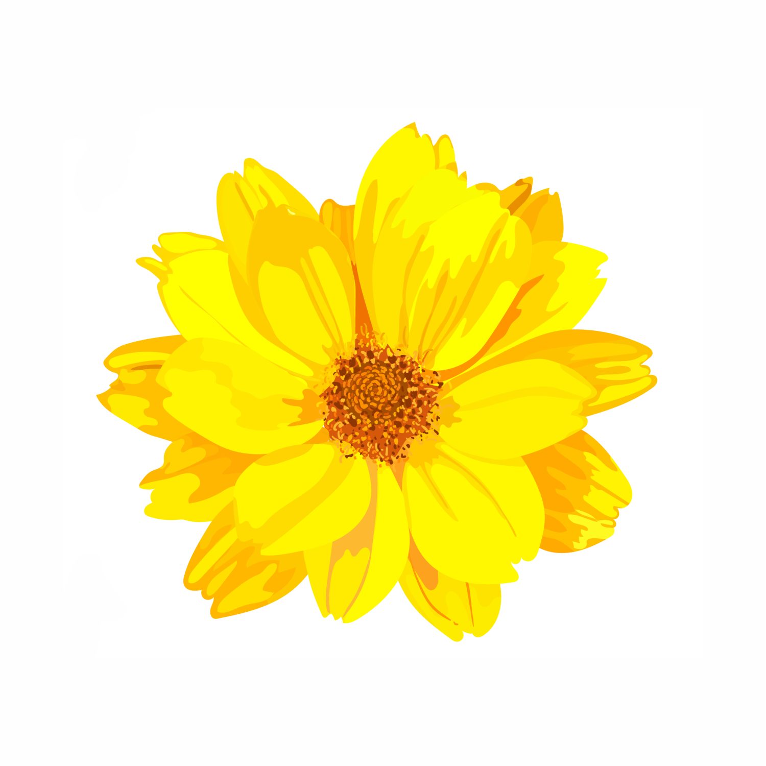 Chrysanthellum Indicum (Golden Chamomile) Extract: A Soothing and Brightening Ingredient for Your Skin
