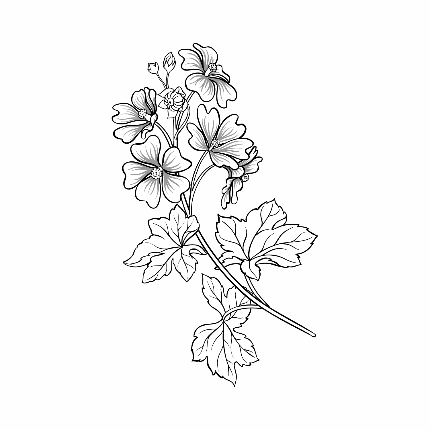 Malva Sylvestris (Mallow) Flower/Leaf/Stem Extract