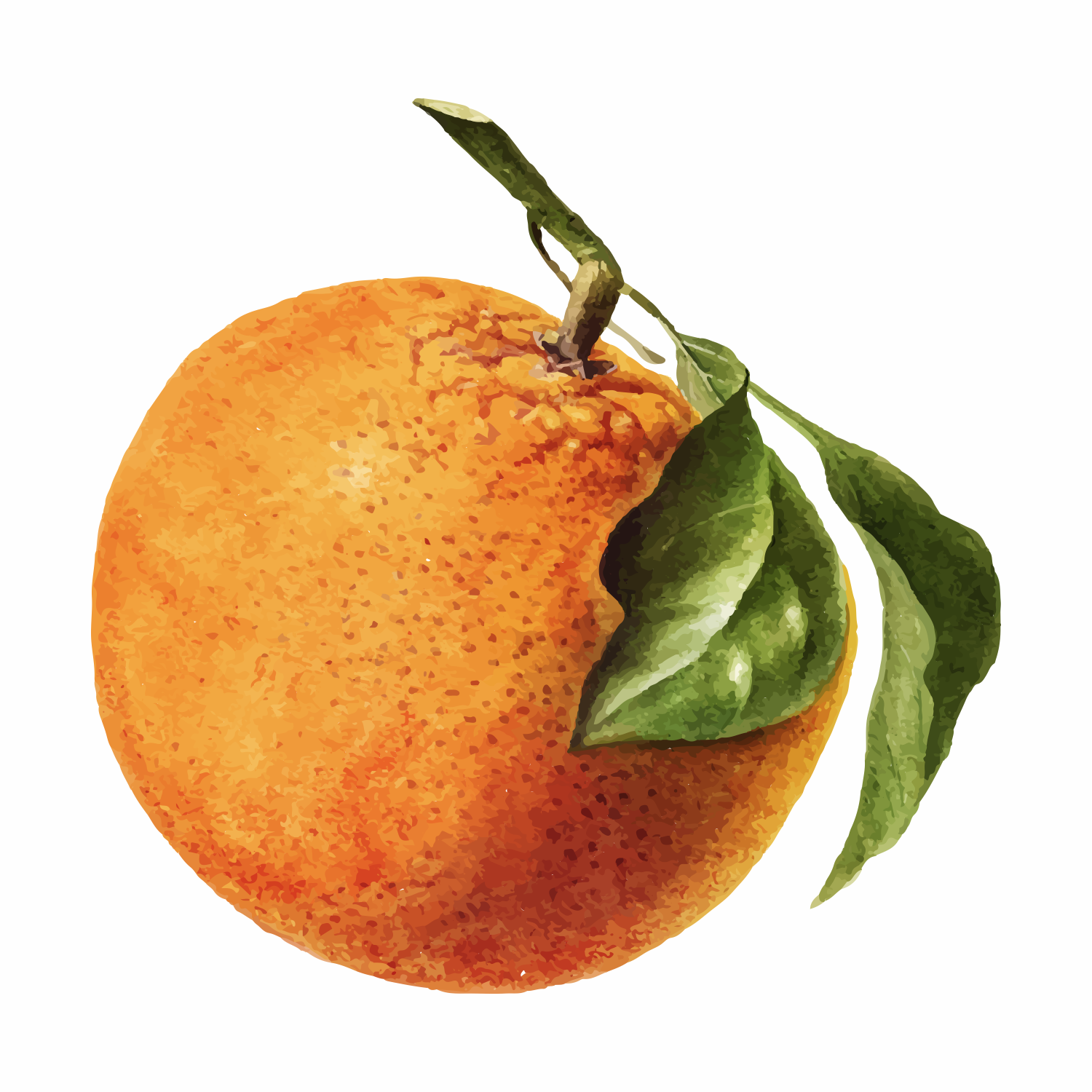 Citrus Nobilis (Mandarin Orange) Oil