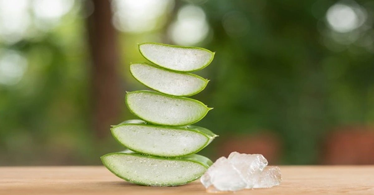 A Beginner’s Guide to Using Aloe Vera for Skin Care - ALODERMA