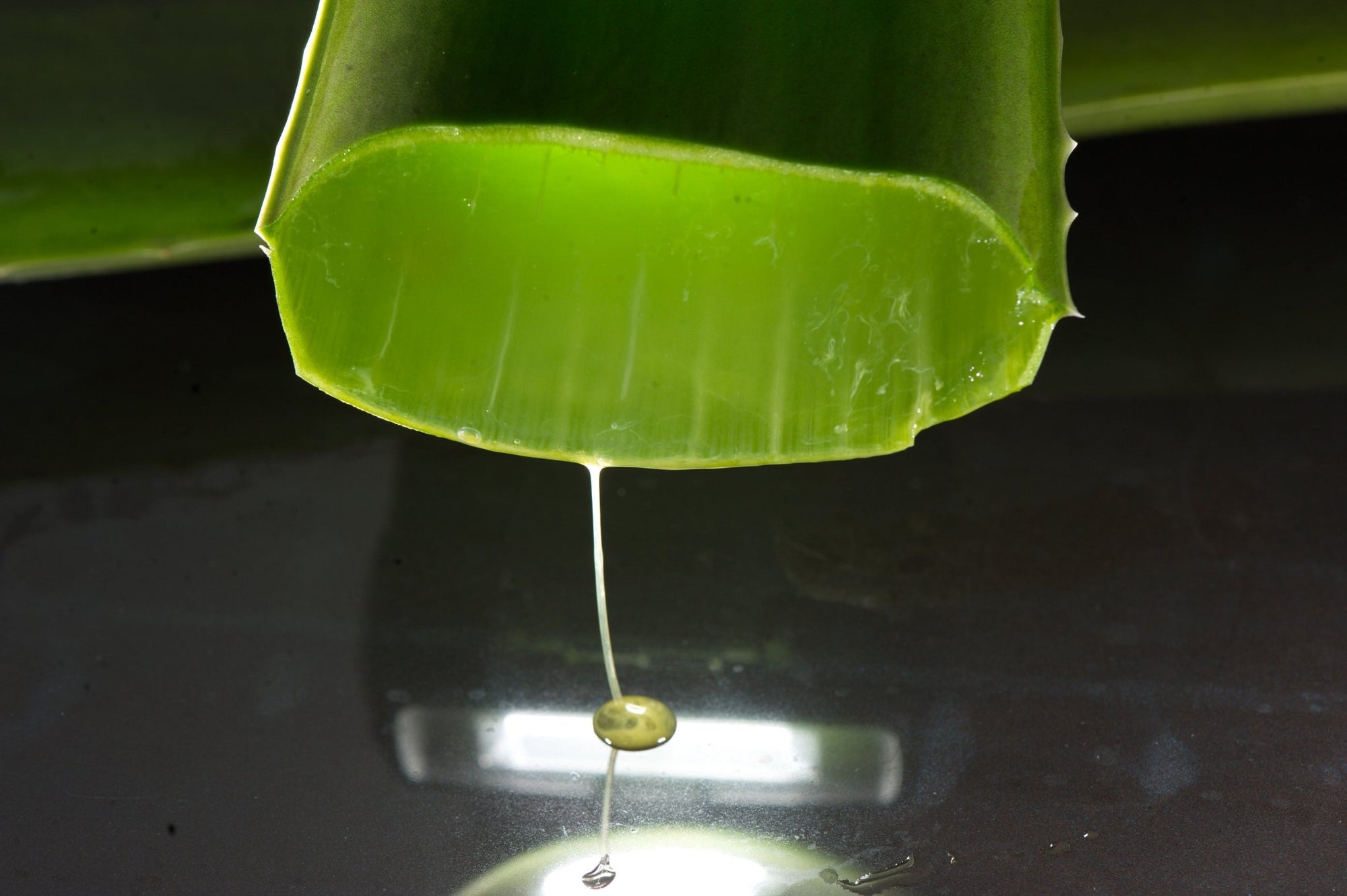 Aloe Vera Gel Purity Explained: Part 1 - 100% Pure Aloe Vera Gel - ALODERMA