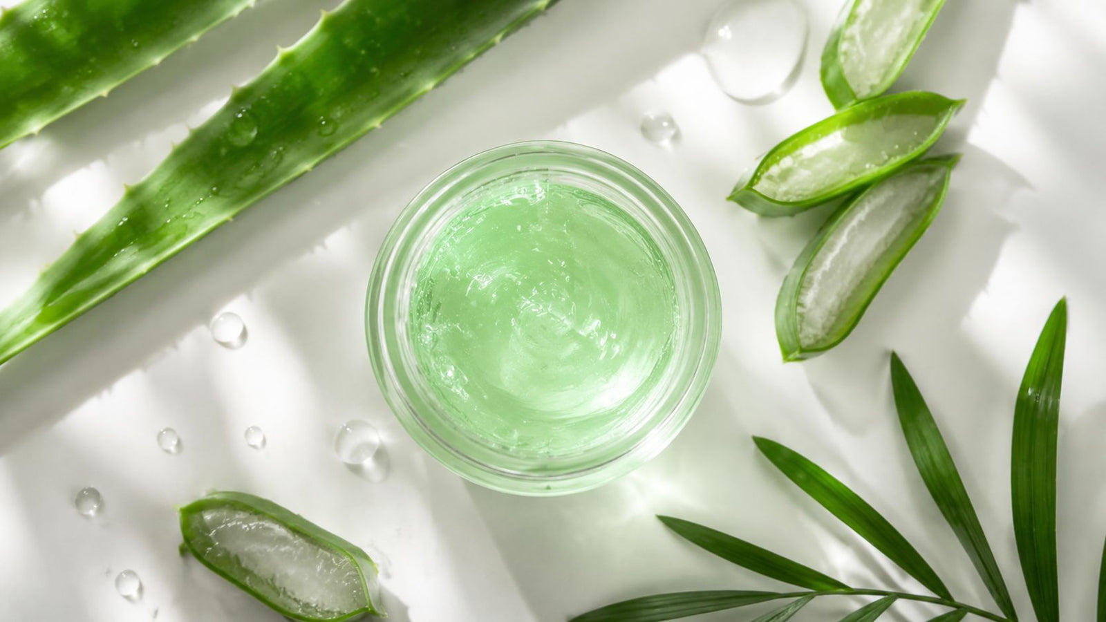 Best Non Comedogenic Face Moisturizer