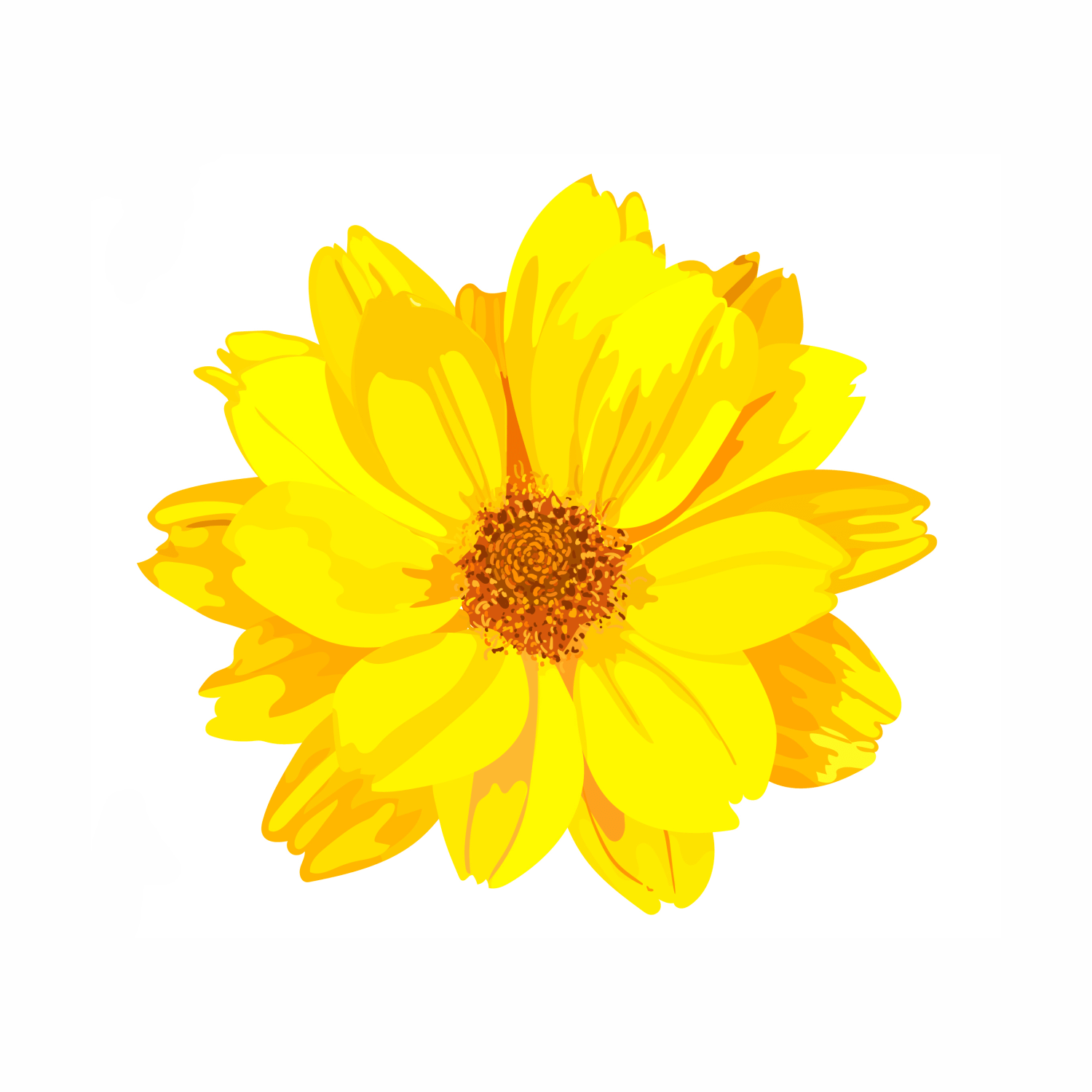 Chrysanthellum Indicum (Golden Chamomile) Extract: A Soothing and Brightening Ingredient for Your Skin - ALODERMA