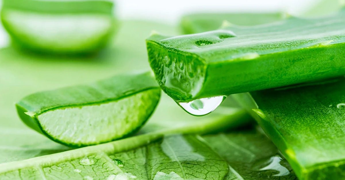 How Aloe Vera Naturally Reduces The Appearance of Wrinkles - ALODERMA