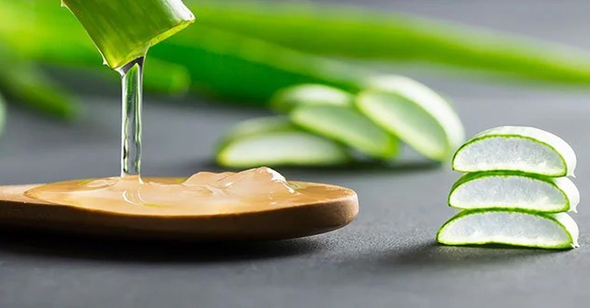 How Does Aloe Vera Support Skin Health? - ALODERMA