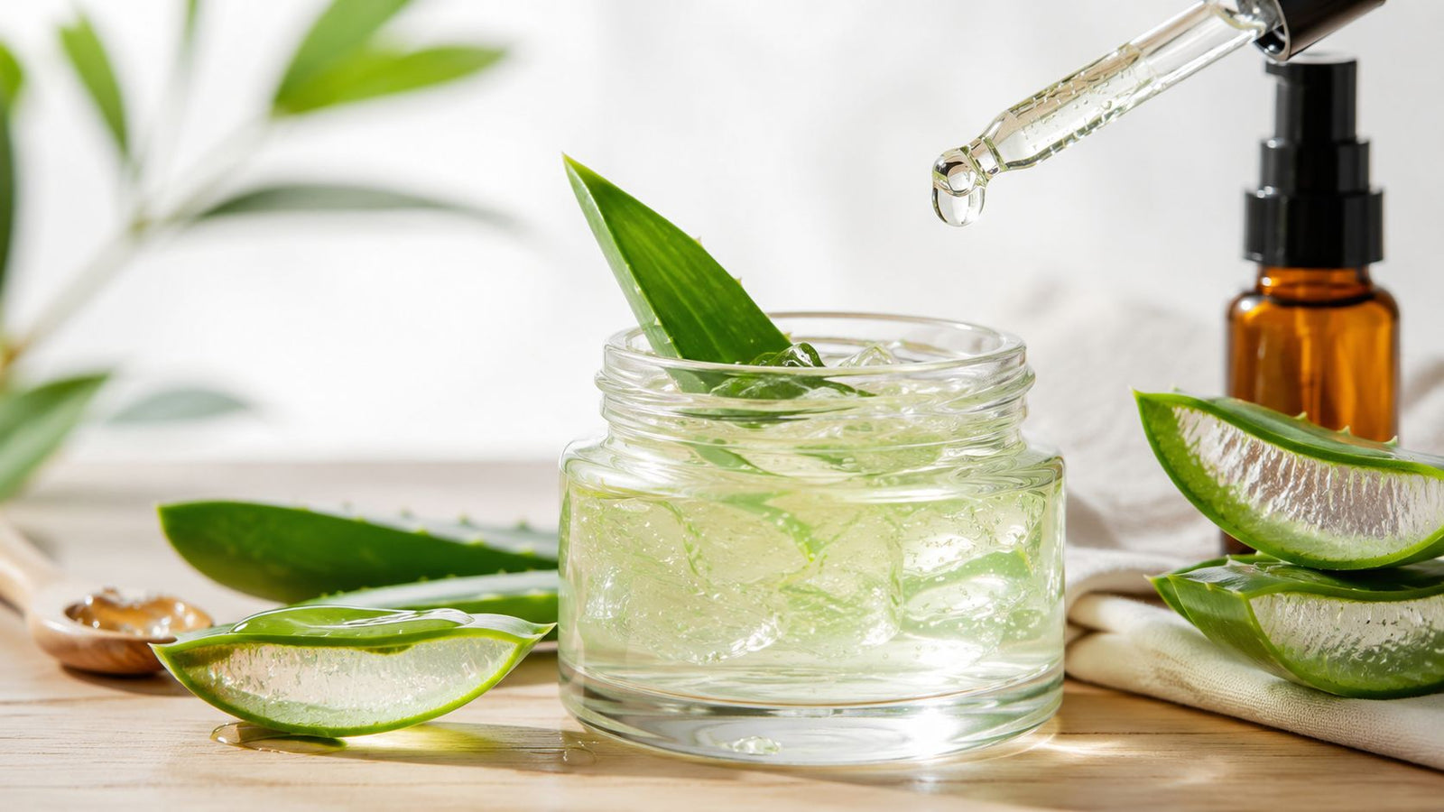 Organic Aloe Vera Products: The Complete Buyer’s Guide