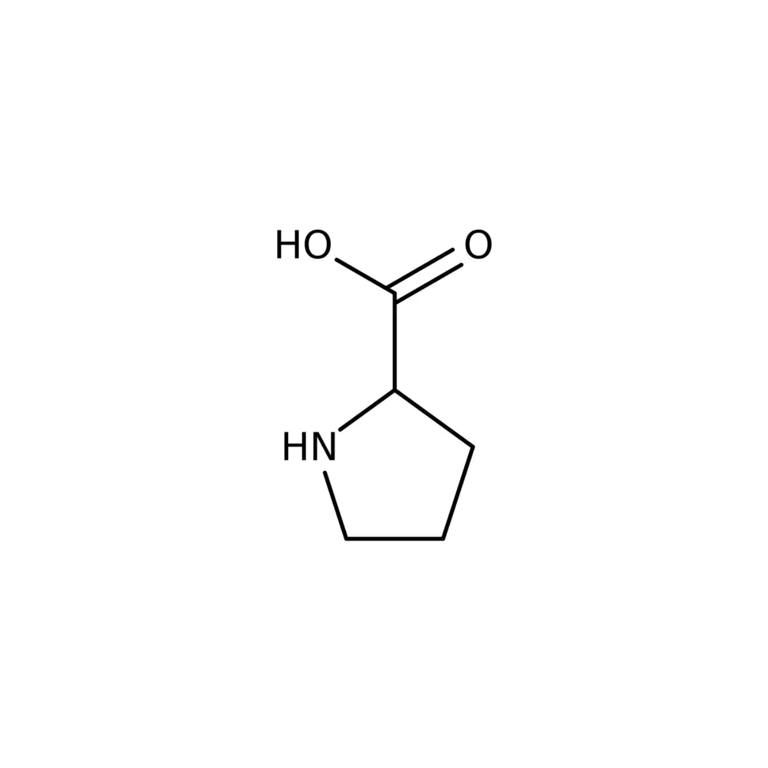 Proline: The Amino Acid for Younger-Looking Skin - ALODERMA