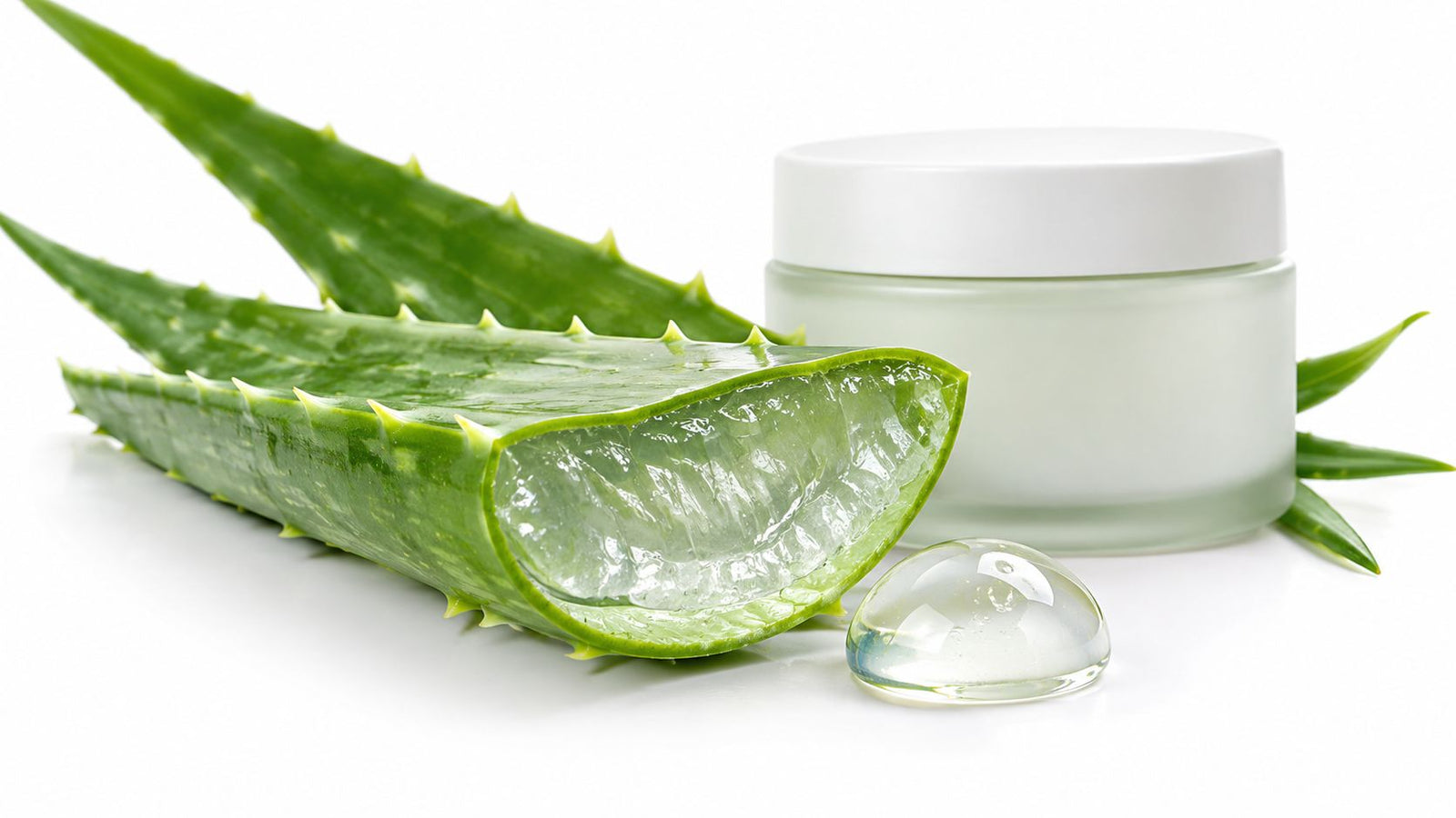 What Is Aloe Vera Gel, How It's Made, and Why It Works