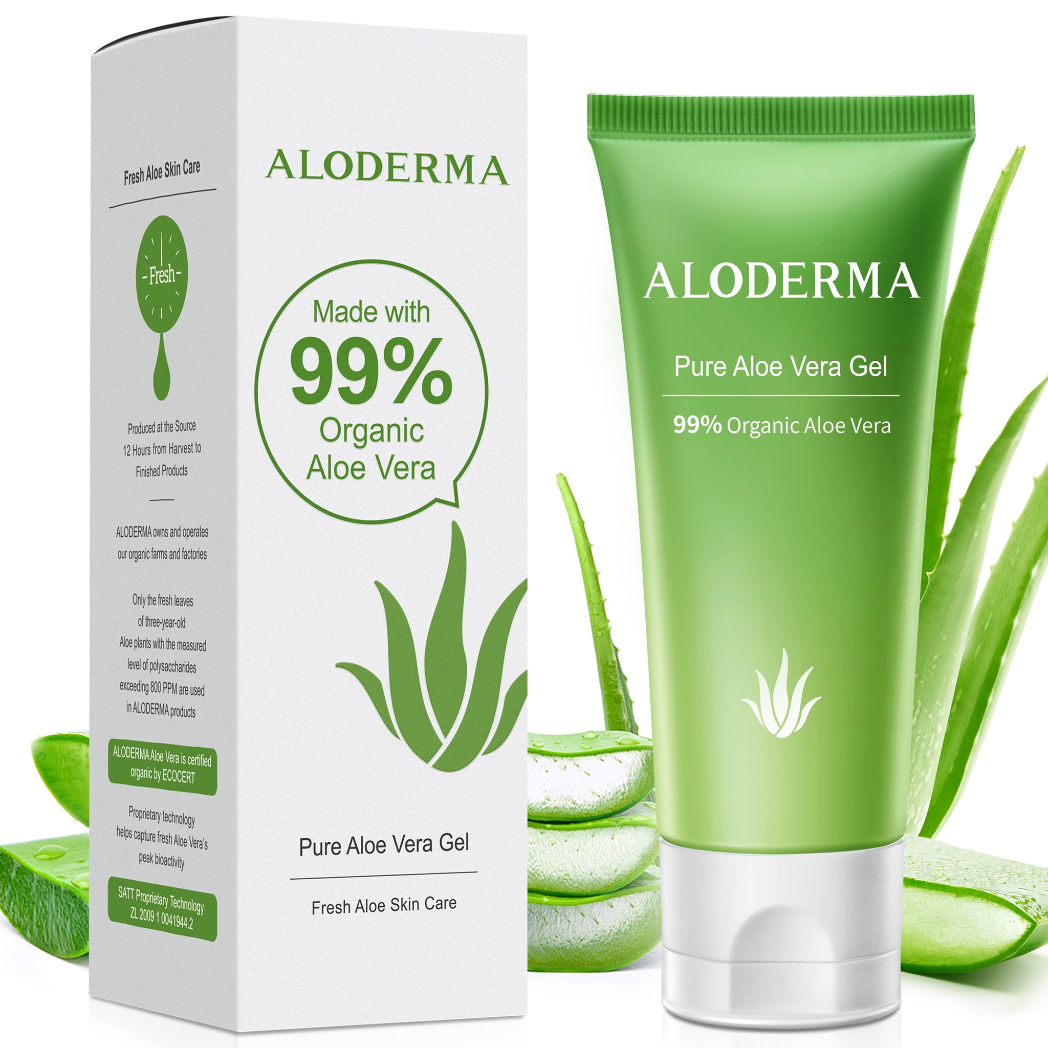where to buy aloe vera plant for skin Pure Aloe Vera Gel 114g