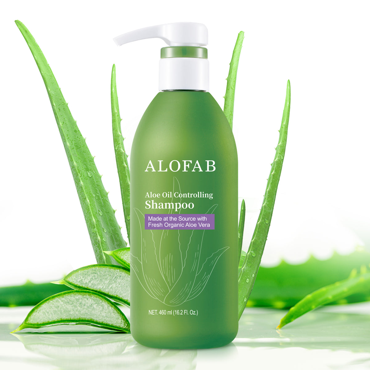 ALOFAB Aloe Oil Controlling Shampoo