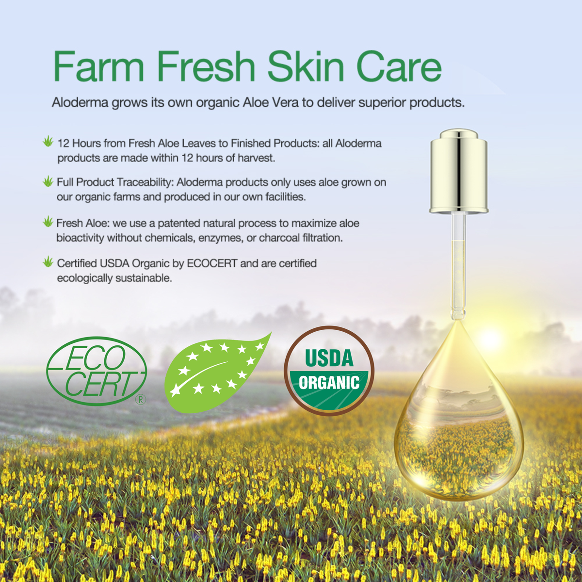 Pure Aloe Vera Skin Hydrator - 99.8% Organic Aloe