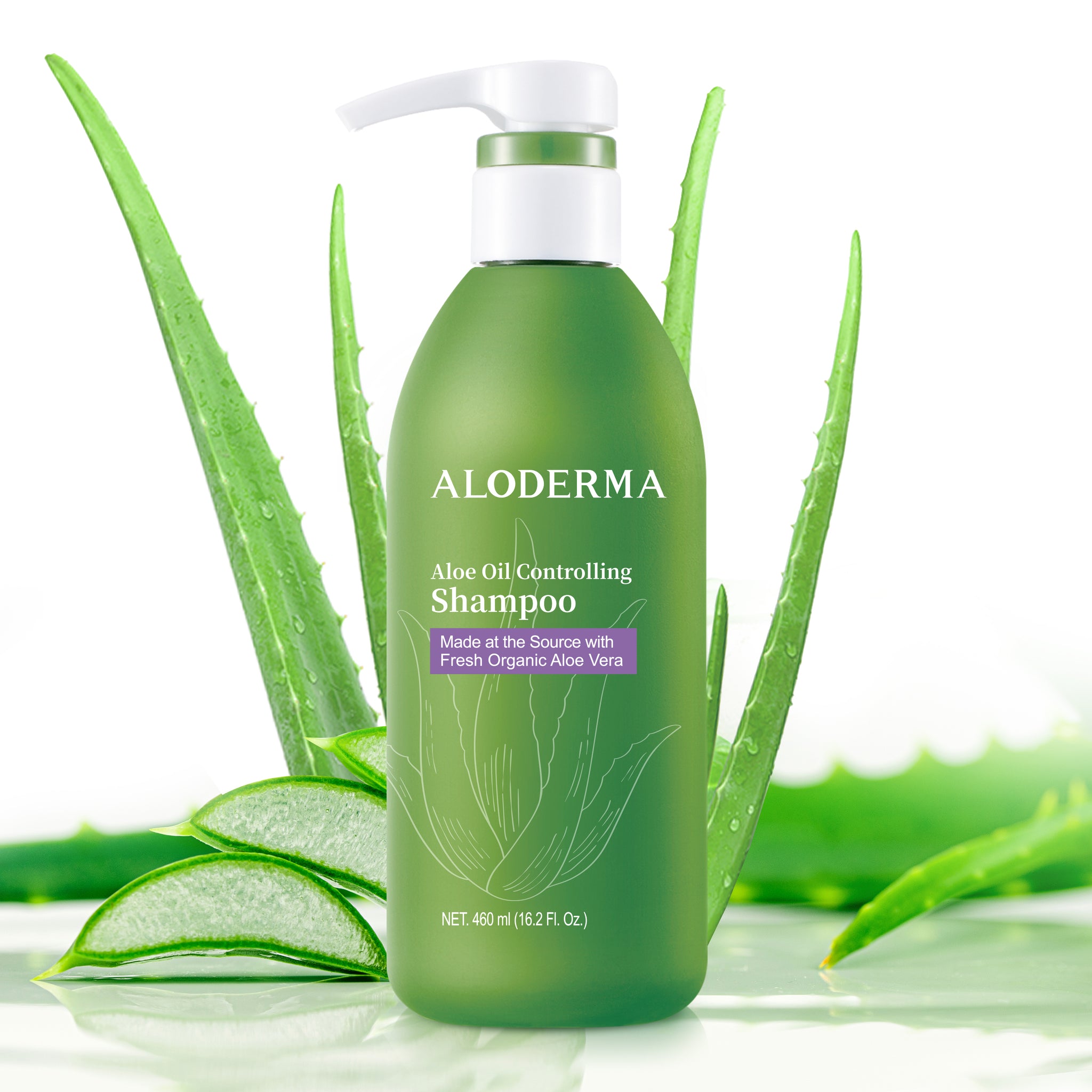 sampon aloe vera Aloe Oil Controlling Shampoo