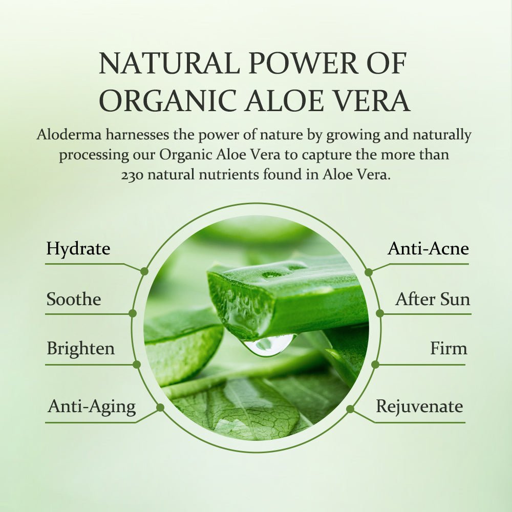 Aloe Hydrating Mask (Box of 5) - ALODERMA