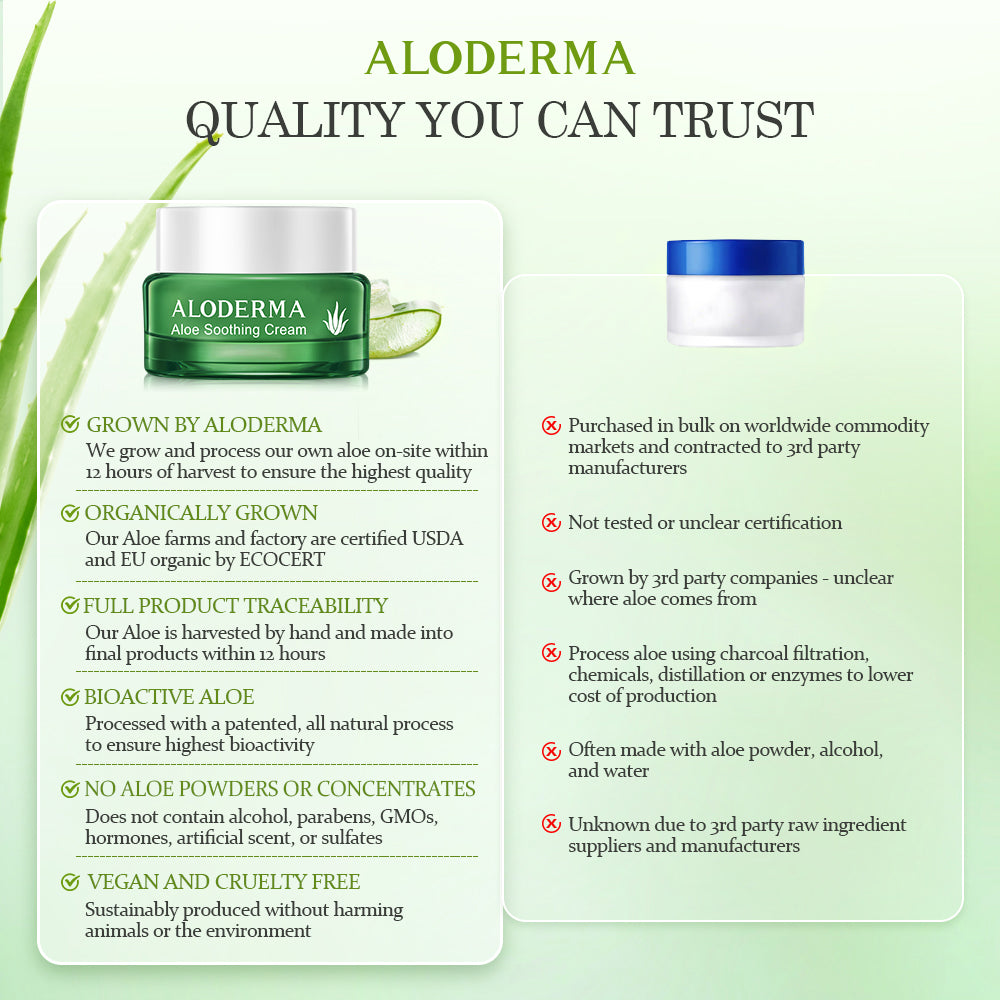 Aloe Soothing & Moisturizing Cream