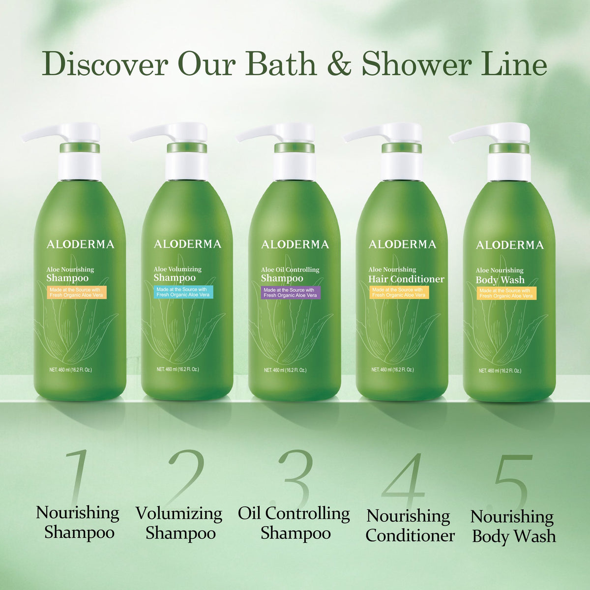 Aloe Oil Controlling Shampoo + Nourishing Conditioner Set