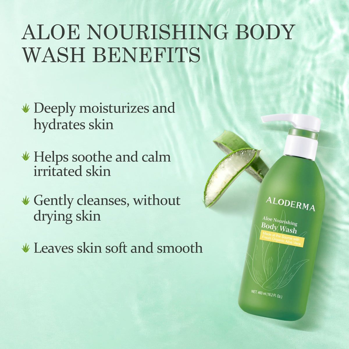 Aloe Oil Controlling Shampoo + Nourishing Body Wash Set