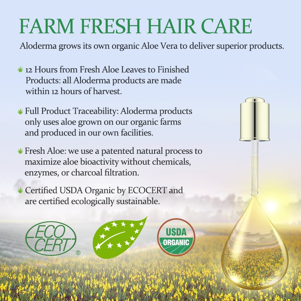 Aloe Oil Controlling Shampoo + Nourishing Conditioner Set