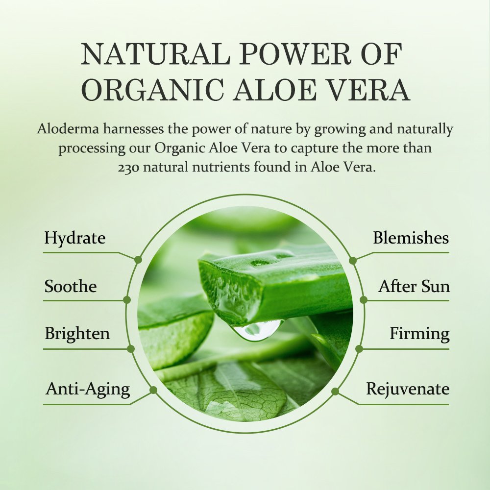 Aloe Oil Controlling Shampoo + Nourishing Conditioner Set