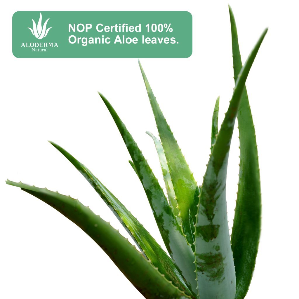 Mascarilla Reafirmante de Aloe (Caja de 5)